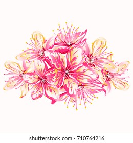 Spring bouquet of blooming sakura isolated on white background.Vector illustration of cherry blossom