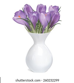 Spring bouquet of crocuses in vase. Vector illustration 
