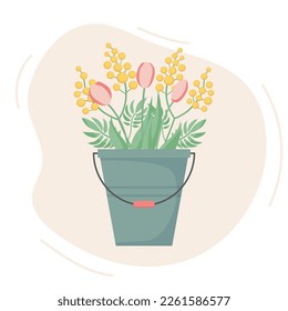 Spring bouquet of mimosas and tulips in a bucket. Cute vector illustration. Flat style.