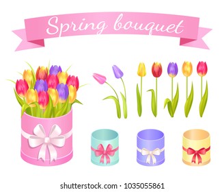 Spring bouquet, set of flowers and boxes, tulips and containers with ribbon and bows, collection vector illustration isolated on white background