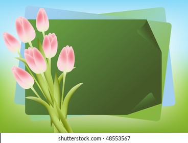 Spring  bouquet. Tulips. Vector illustration.