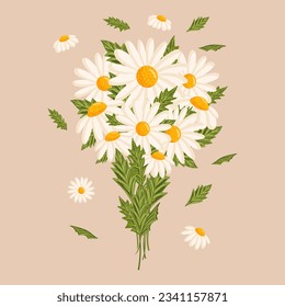 Frühlingsbukett mit weißen Kamillenbäumen oder blühenden Blumen. Botanische Vektorgrafik einzeln auf Postkarte, Poster, Werbung, Dekoration, Stoff und anderen Verwendungszwecken.