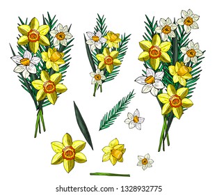 Spring bouquets of daffodil flowers. Yellow and white flowers. Bouquet elements. Isolated objects on white background. Narcissus.