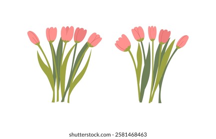 Spring bouquets of pink tulip flowers. Elegant botanical vector flat illustration. Floral clipart for spring holidays, 8 march women's day, birthday, mother's day designs