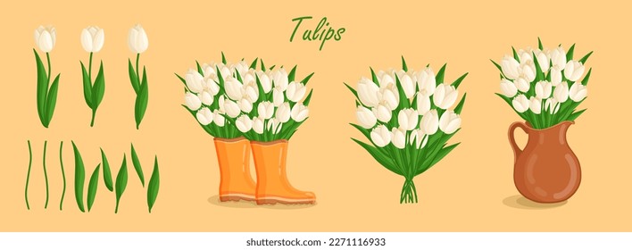 Saltos de primavera con tulipanes y elementos. Plantas florales con flores brillantes. Ilustración botánica vectorial sobre antecedentes aislados para el día de la mujer, el día de la madre, la Pascua y otros feriados.