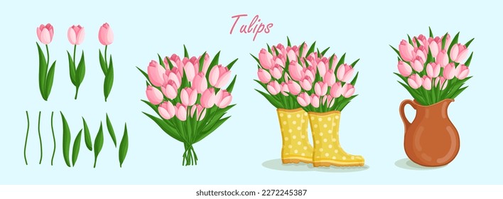 Spring bouquets with tulips and elements. Floral plants with bright flowers. Botanical vector illustration on isolated background for women's day, mother's day, easter and other holidays.