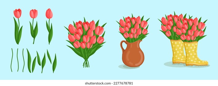 Spring bouquets with tulips and elements. Floral plants with bright flowers. Botanical vector illustration on isolated background for women's day, mother's day, easter and other holidays