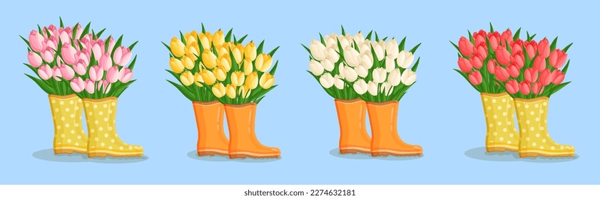 Spring bouquets with tulips in a rubber boots. Floral plants with bright flowers. Botanical vector illustration on isolated background for women's day, mother's day, easter and other holidays.