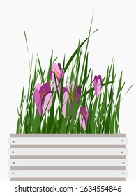 A spring box with grass and flowers