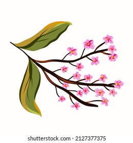 Spring branch of a blooming apple tree with pink flowers.