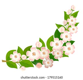 Spring branch of a blossoming tree with green leaves