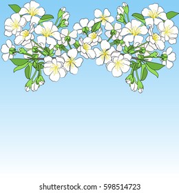 Spring branch of a blossoming tree with green leaves On a blue background
