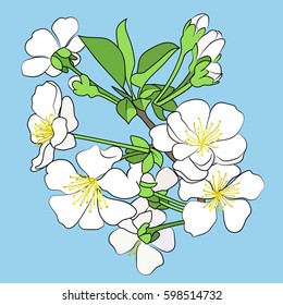 Spring branch of a blossoming tree with green leaves On a blue background