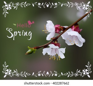 Spring. A branch of a blossoming tree. Text in the frame. Vector realistic. Card