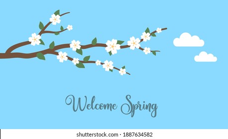 Rama de primavera y cielo azul. Flores de primavera y verano. Sakura. Florecimiento del cerezo. Vector