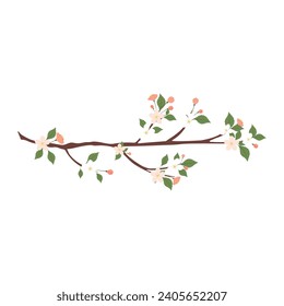Spring Branch with flowers on a white background. Elements isolated on a white background. Design for cards, invitations.