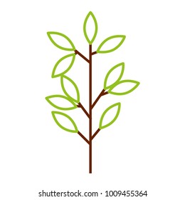 spring branch with green leaves natural