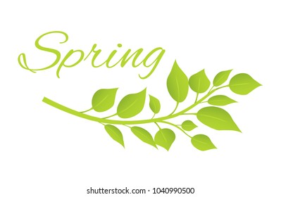 Spring and branch with green leaves on botanical poster. Branch of fresh plant and huge sign in italic isolated cartoon vector illustration on banner.