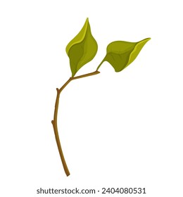 Spring branch with green leaves with shoots.Vector graphics.