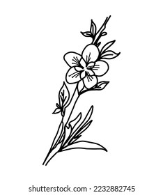 Spring branch linear petal flower doodle sketch. Vector illustration isolated on white background