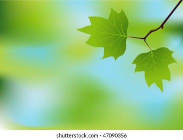 Spring branch on abstract mash background