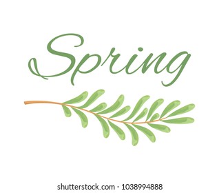 Spring and branch with tiny oblong leaves poster with sign in italic. Branch of natural plant on banner. Exotic herb isolated vector illustration.