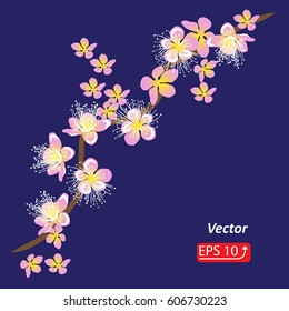 Spring branch with white pink flowers on dark blue background  vector illustration