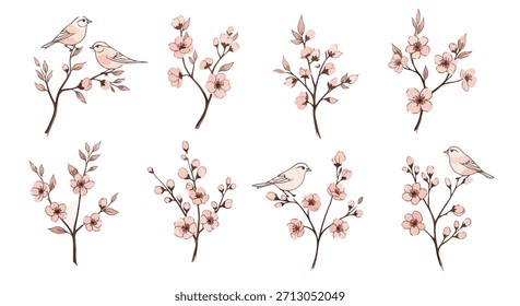 Ramas de primavera con pájaros y flores con fondo transparente