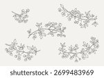 Spring branches with buds and flowers set. Vector floral illustration in line art style