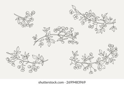 Ramos de primavera com botões e flores definido. Ilustração floral vetorial em estilo de arte em linha