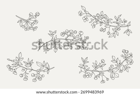 Spring branches with buds and flowers set. Vector floral illustration in line art style