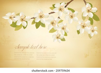 Frühlingszweige mit Blumen auf Vintage-Hintergrund. Vektorgrafik.