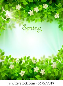 Spring branches with fresh green leaves. Season background framed by floral elements. 