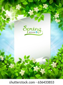 Spring branches with fresh green leaves. Season background framed by white floral elements on the shining blue sky. Paper banner with word Spring.