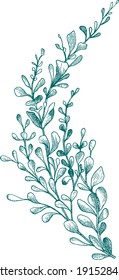 Frühlingszweige mit von Hand gezogenen Blättern. Exquisite botanische Zeichnung. Realistische Skizze. Fertiges Design für Gewebe, Druck, Verpackung.