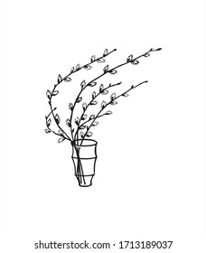 Spring branches of willow in vase. Isolated vector illustration. black&white color template.