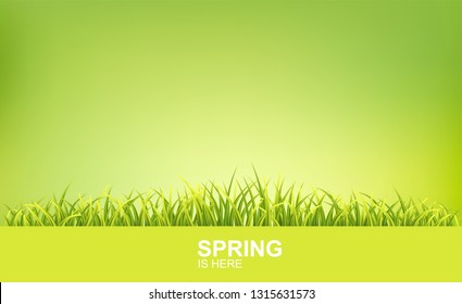 Spring Bright Background With Green 3d Photo Realistic Grass. Spring Is Here Vector Illustration
