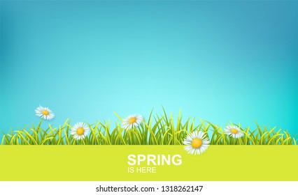 Spring Bright Background With Green 3d Photo Realistic Grass, Flowers And Clear Blue Sky. Spring Is Here Vector Illustration