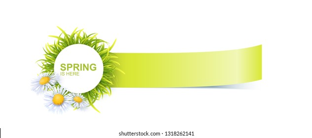 Spring Bright Banner With Green 3d Photo Realistic Grass And Flowers. Spring Is Here Vector Illustration
