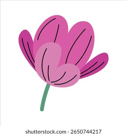 Spring Bright Purple Flower Bloom