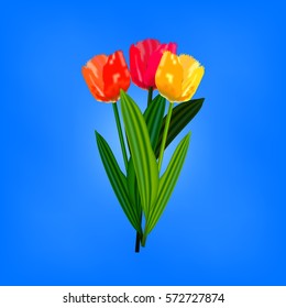 Spring bright tulip flowers on blue blurred background. Red, yellow and orange tulips.  Floral card. Banner template. Vector illustration.