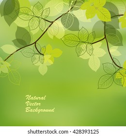 Spring brunch with abstract leaves on green background. Vector illustration.