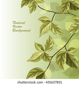 Spring brunch with leaves on green background. Vector illustration.
