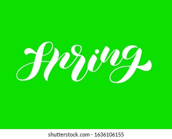 Spring brush lettering. Vector stock illustration for poster