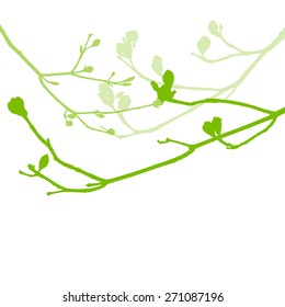 Spring buds, gentle leaves and branches vector background ecology green fresh concept