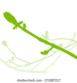 Spring buds, gentle leaves and branches vector background ecology green fresh concept