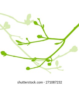 Spring buds, gentle leaves and branches vector background ecology green fresh concept