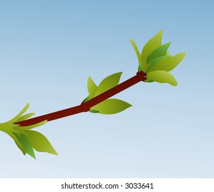 spring buds vector