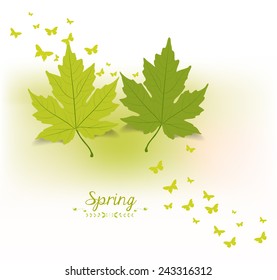spring butterflies background