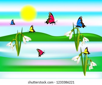 Spring butterfly background snowdrops